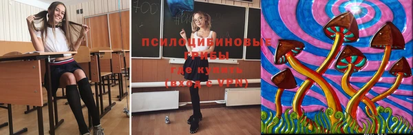 метадон Новозыбков